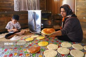 5032875 faezeh kaboli 22 - بهشت نگارستان ایران - سامانه ویکی تک پلاس