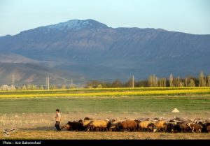 image22 - کوچ ییلاقی عشایر - سامانه ویکی تک پلاس